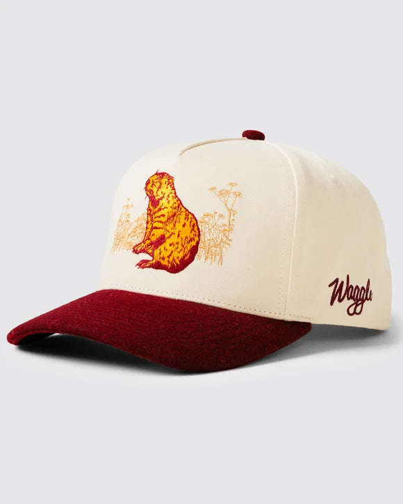 Waggle Hole Monitor Wool Brim Hat
